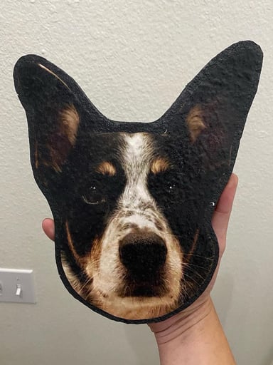 Preview pic of Custom made pet mat *any image