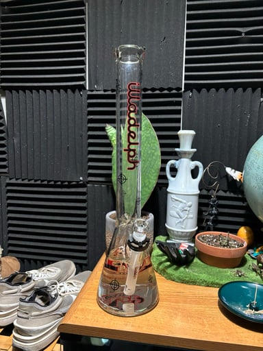 Preview pic of Killadelph Medium red label fs or trade