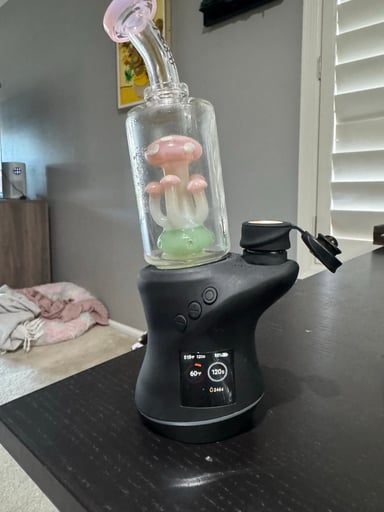 Preview pic of Focus Carta V2