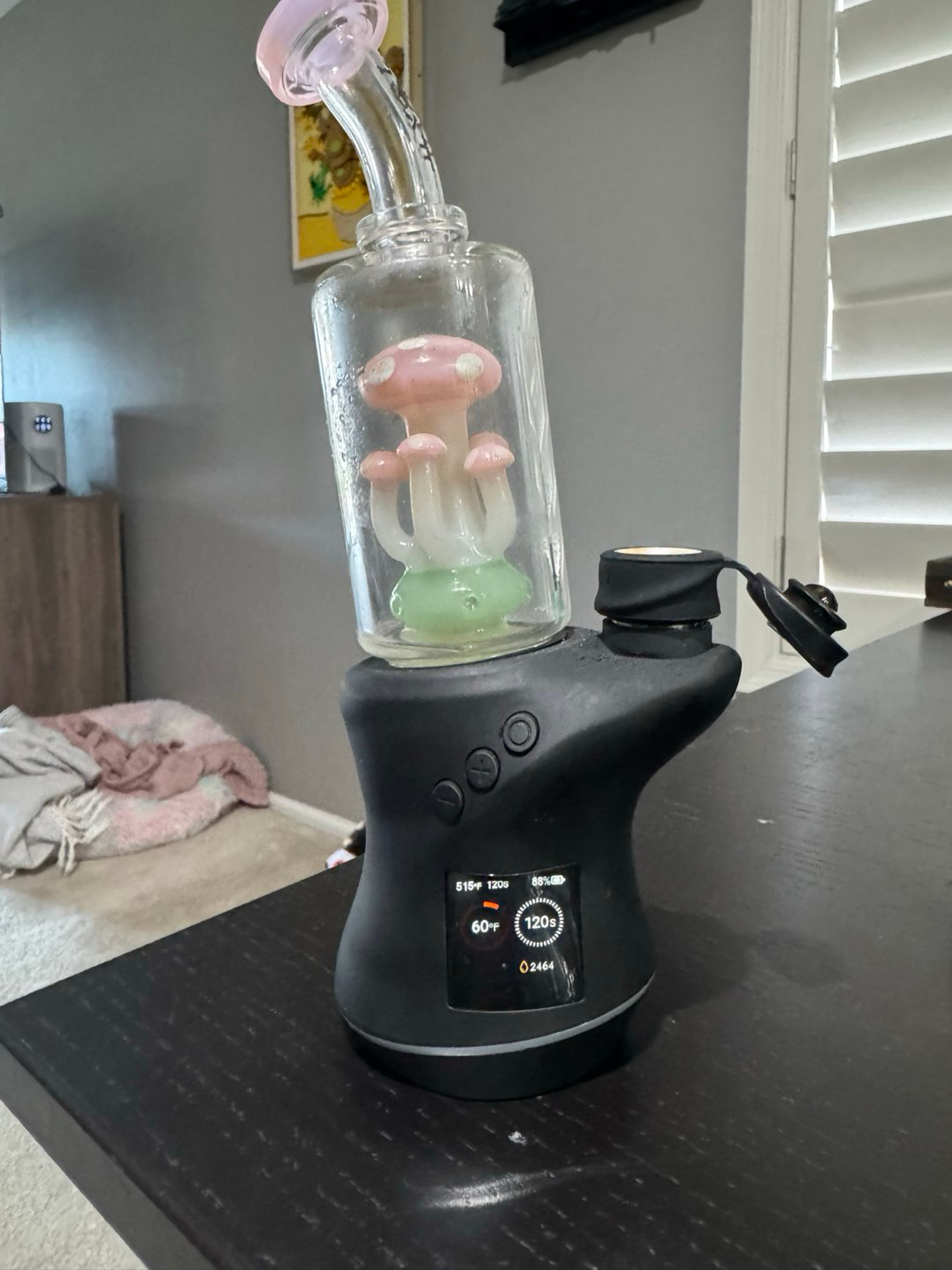 Focus Carta V2 image 0