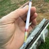 Small image 3