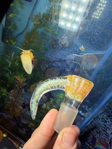 Preview pic of Slide fir trade shoot offers