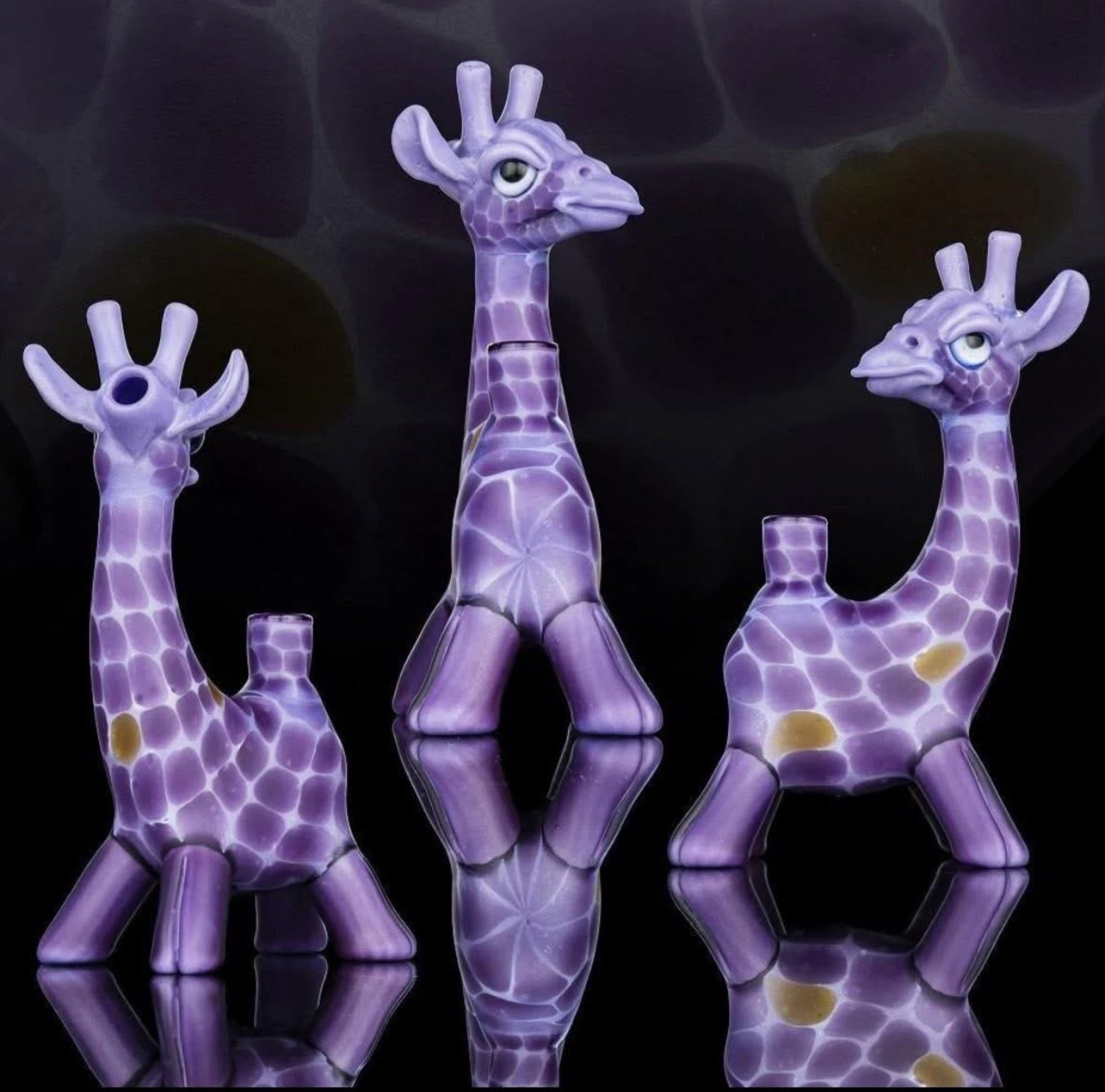 Preview pic of Matt Robertson Royal Jelly / Wisteria Giraffe