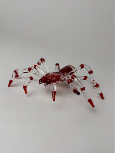 Preview pic of Red Elvis tarantula