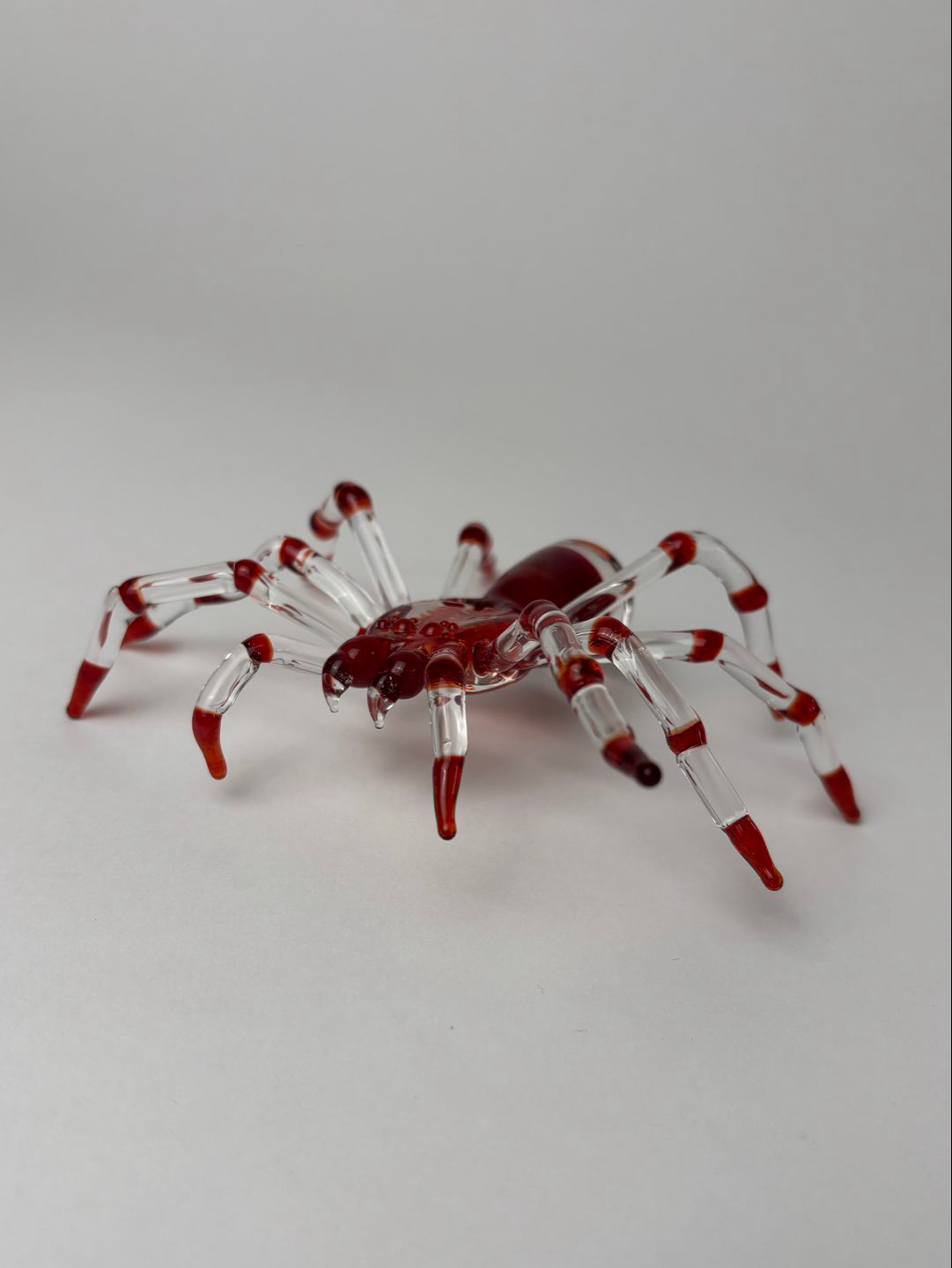 Preview pic of Red Elvis tarantula