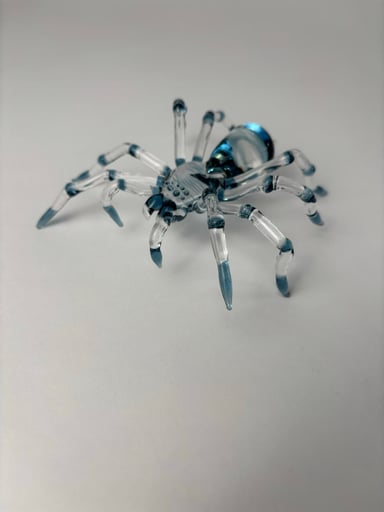 Preview pic of Blue Stardust tarantula