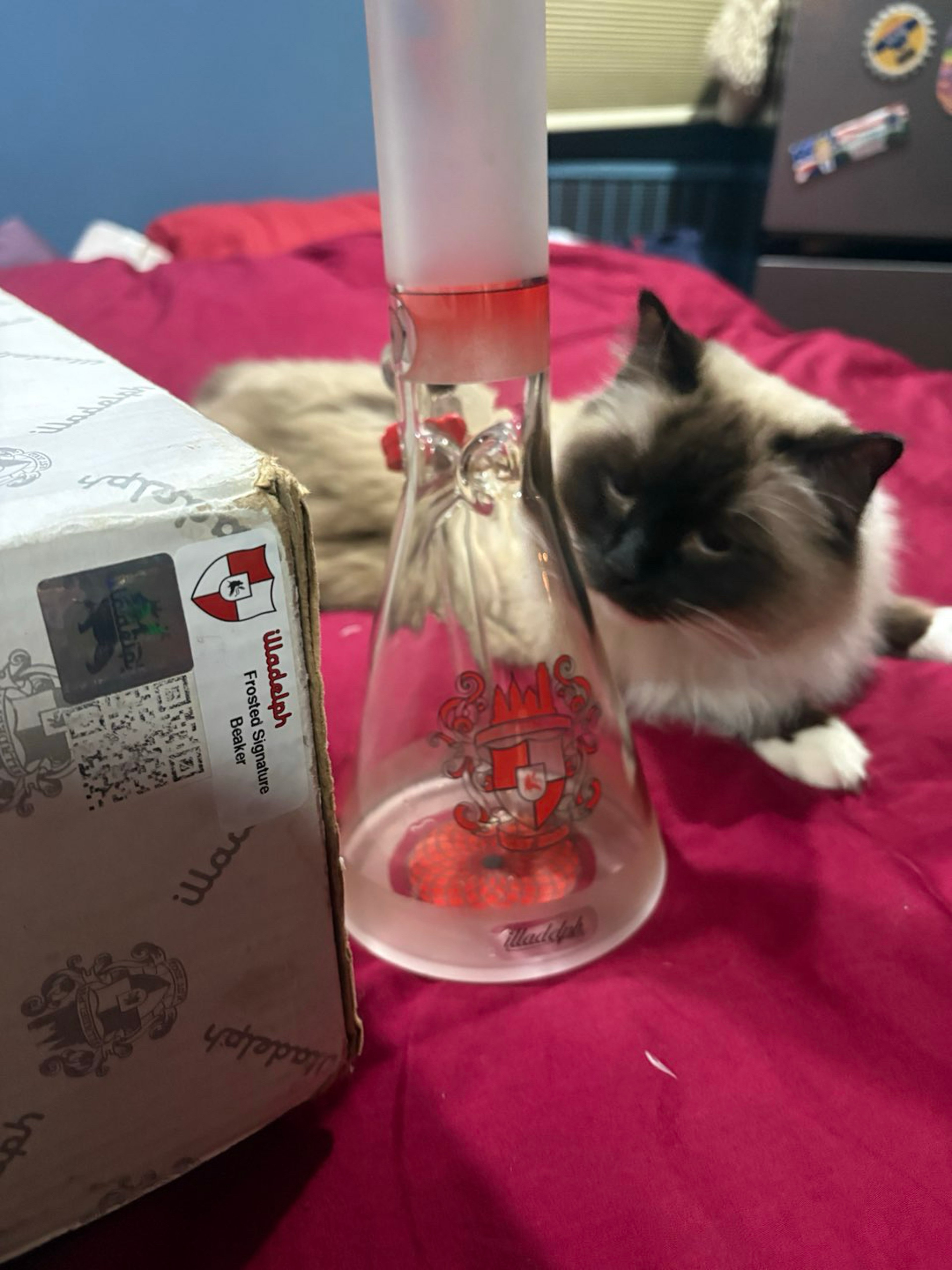 🥶 Discontinued Frosted illadelph beaker - Red image 0