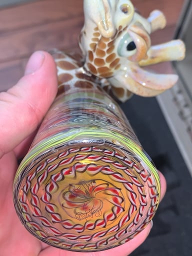Preview pic of Robertsonglass x jkelley