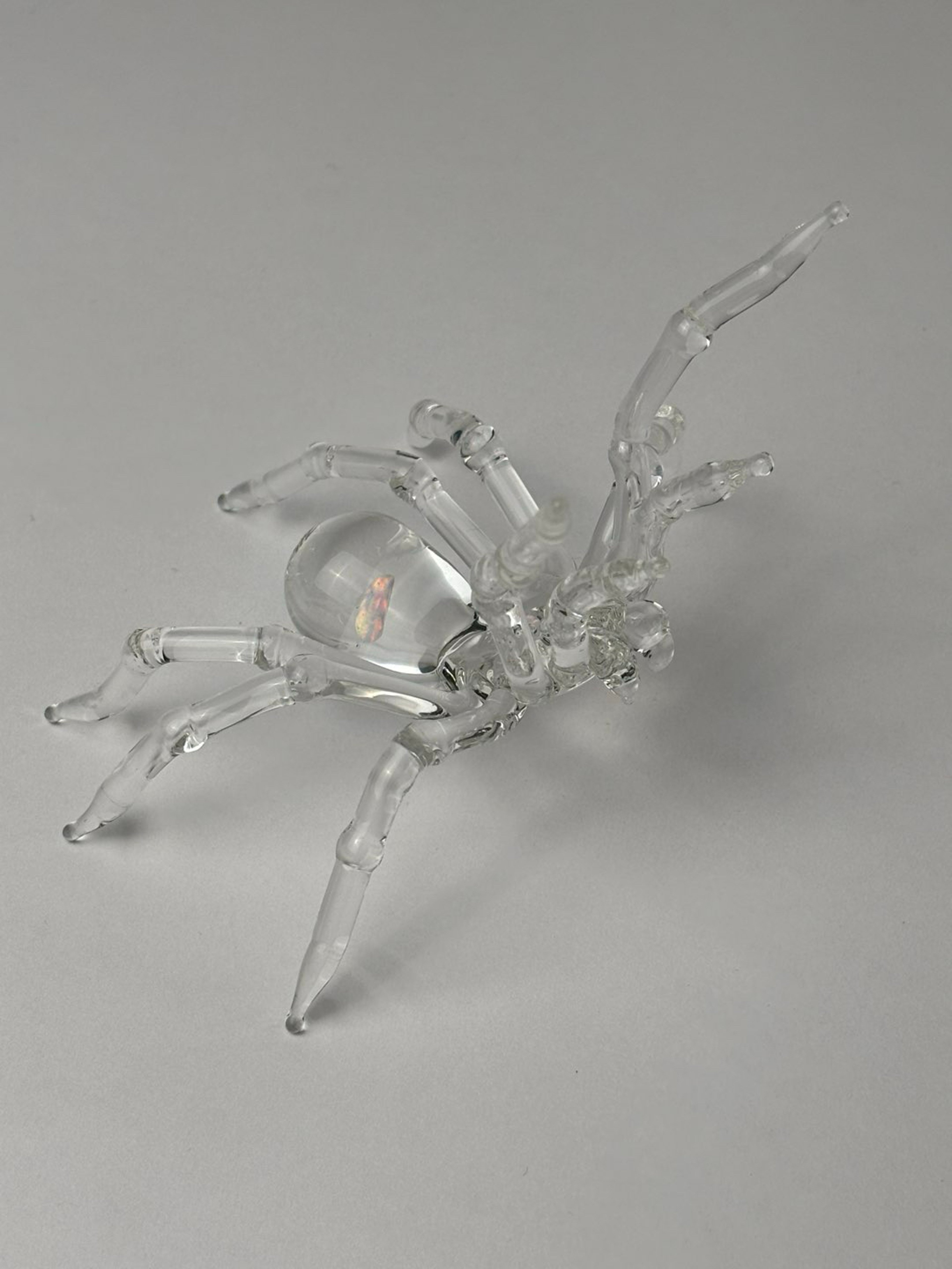 Double opal tarantula image 0