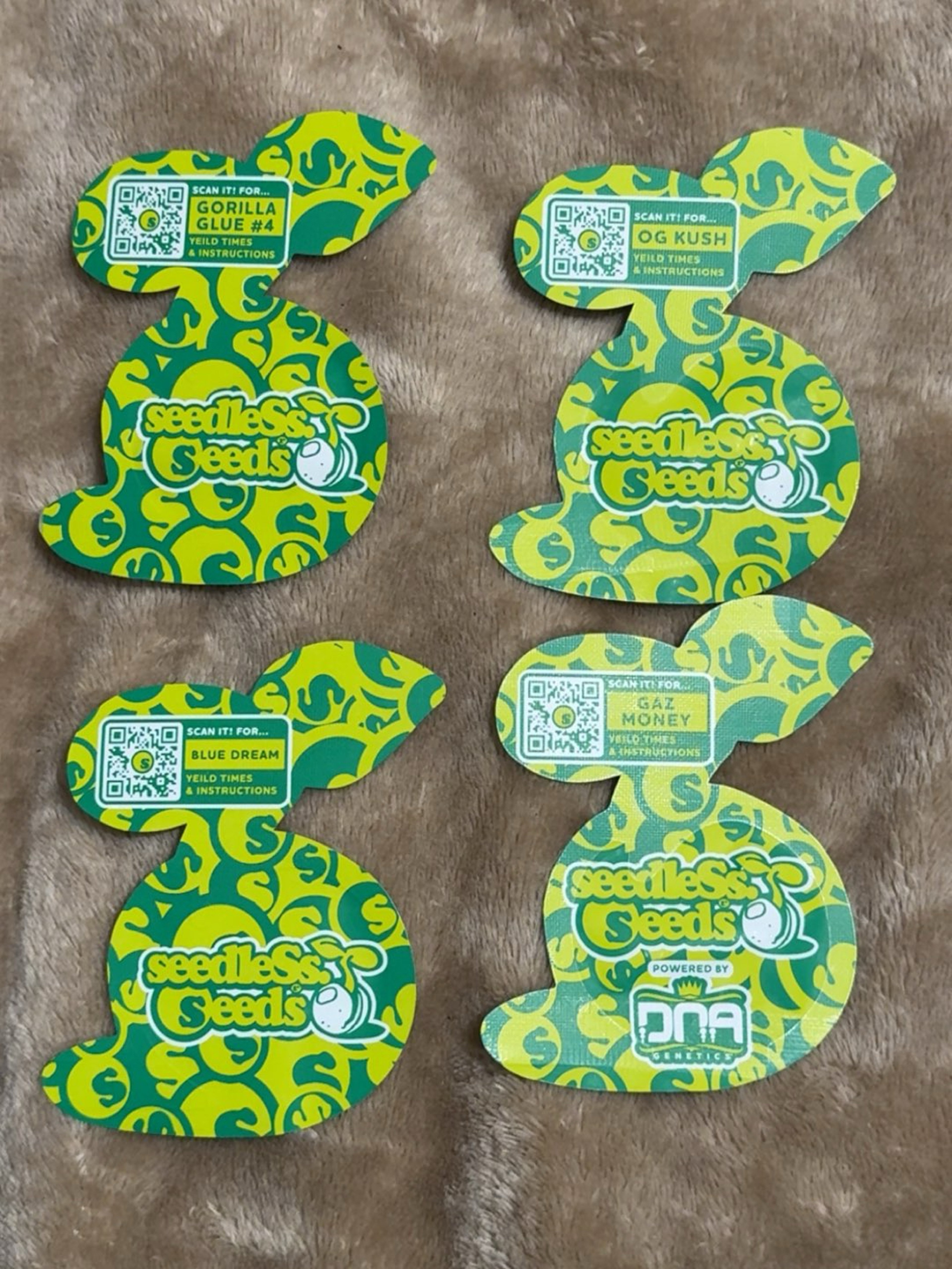 seedless seed co seeds image 0