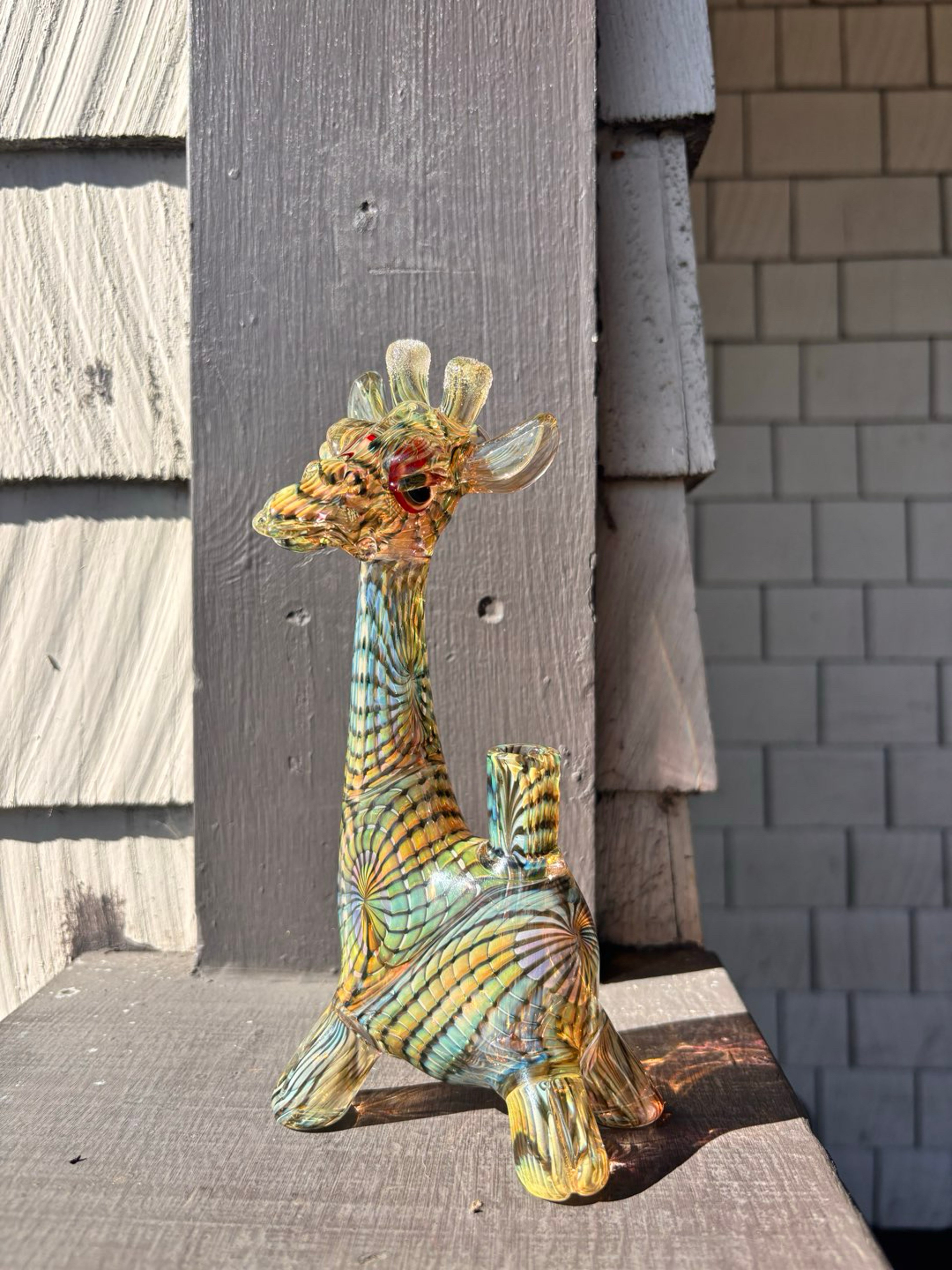 Robertson dosh world collab image 0