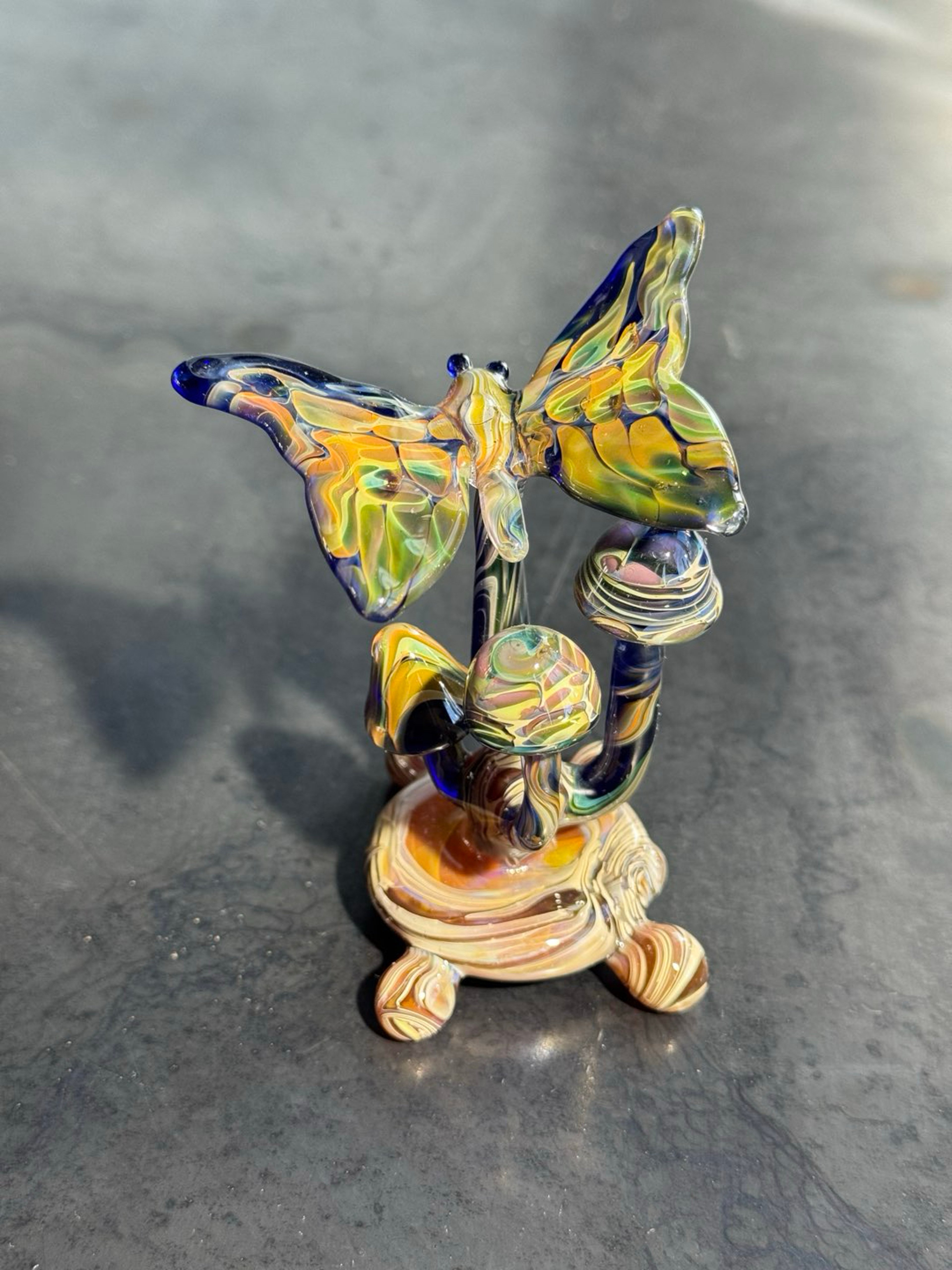 butterfly 🦋 image 0