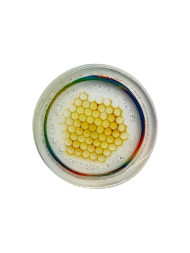 Preview pic of Michael Shea x Arcadian Glass Works Glass Coin #11