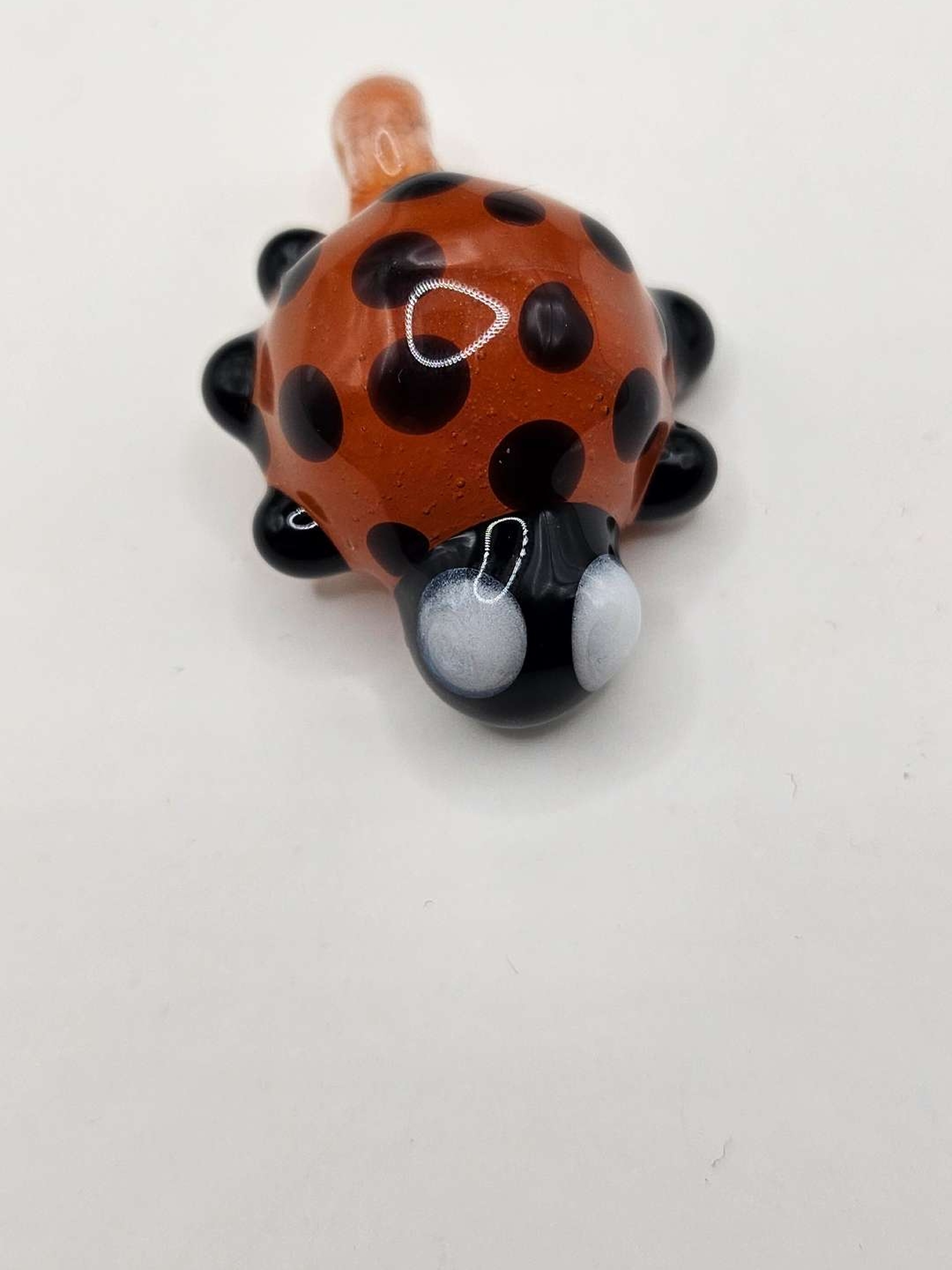 Uv orange 🍊 Ladybug 🐞 image 0