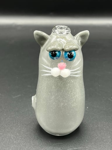 Preview pic of Portland gray cat with aqua azul eyes ahd sno white cheeks/whiskers.