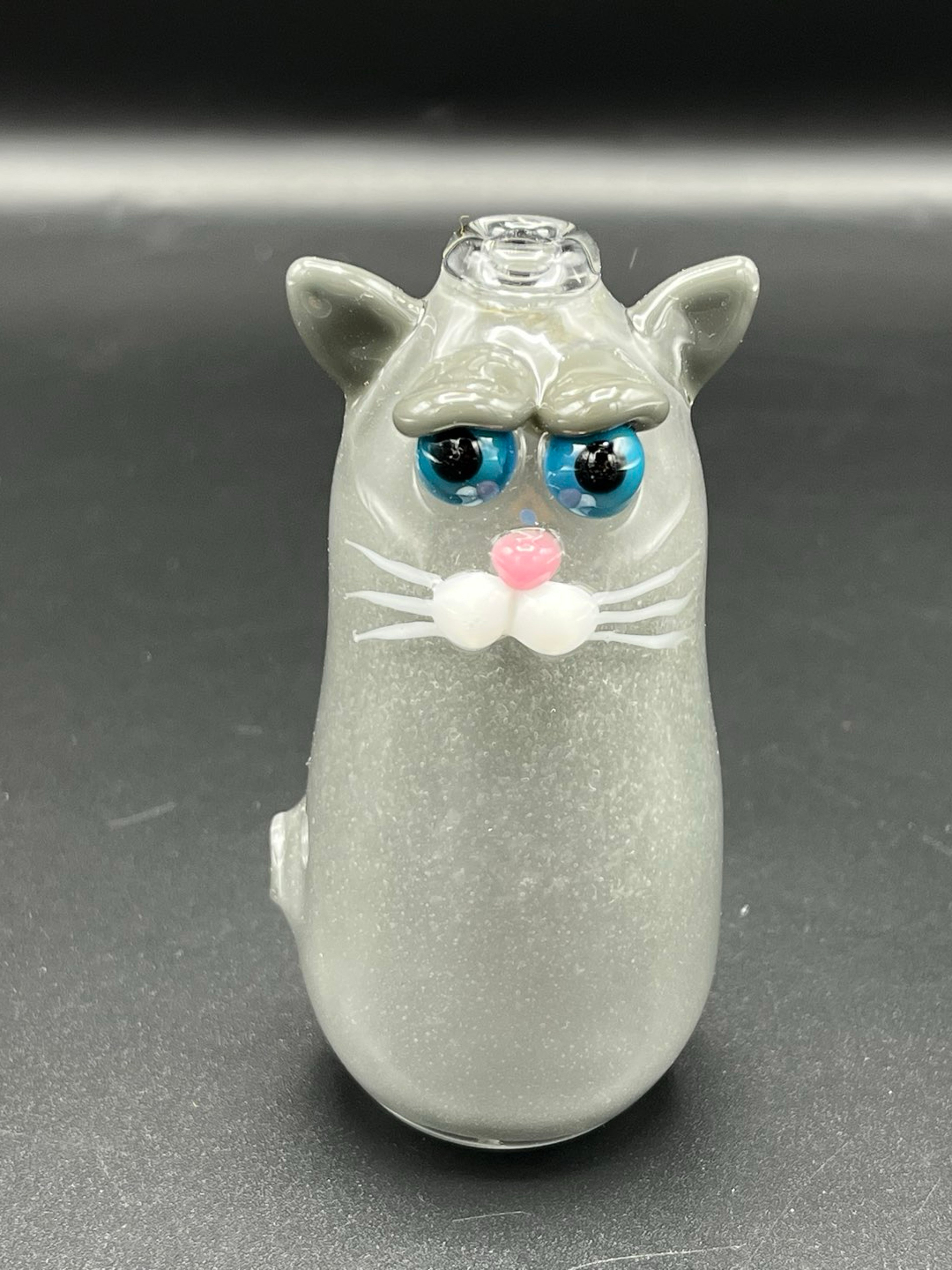 Preview pic of Portland gray cat with aqua azul eyes ahd sno white cheeks/whiskers.