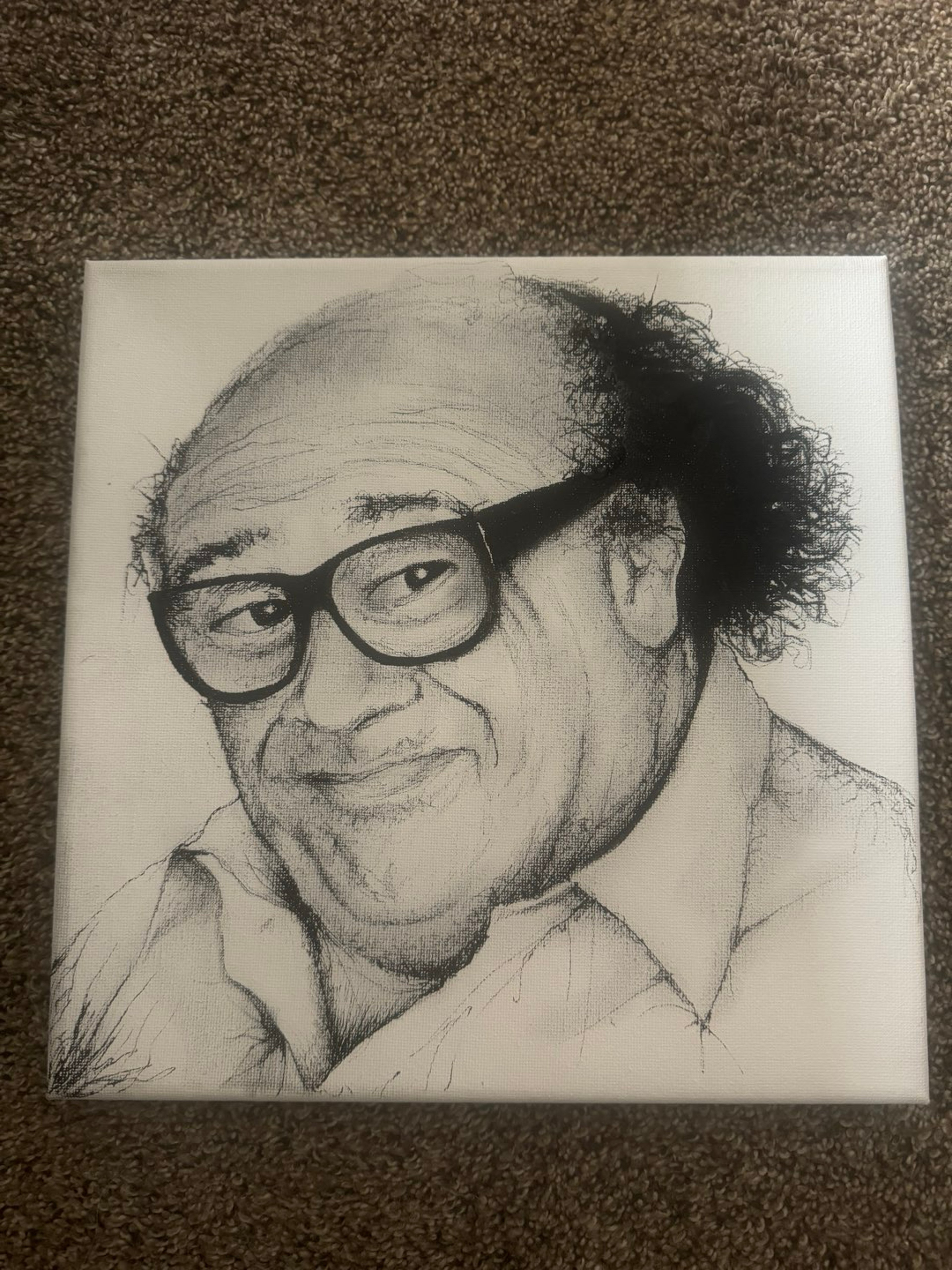 Danny devito canvas image 0