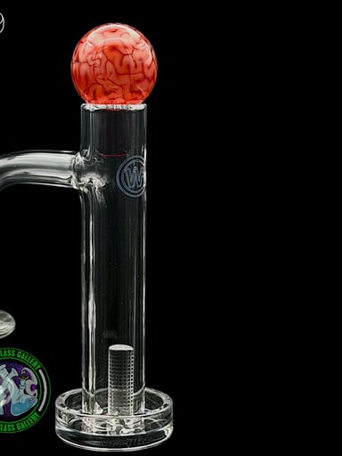 Preview pic of Algae - Control Tower Cap #19 - Brain Tech Red