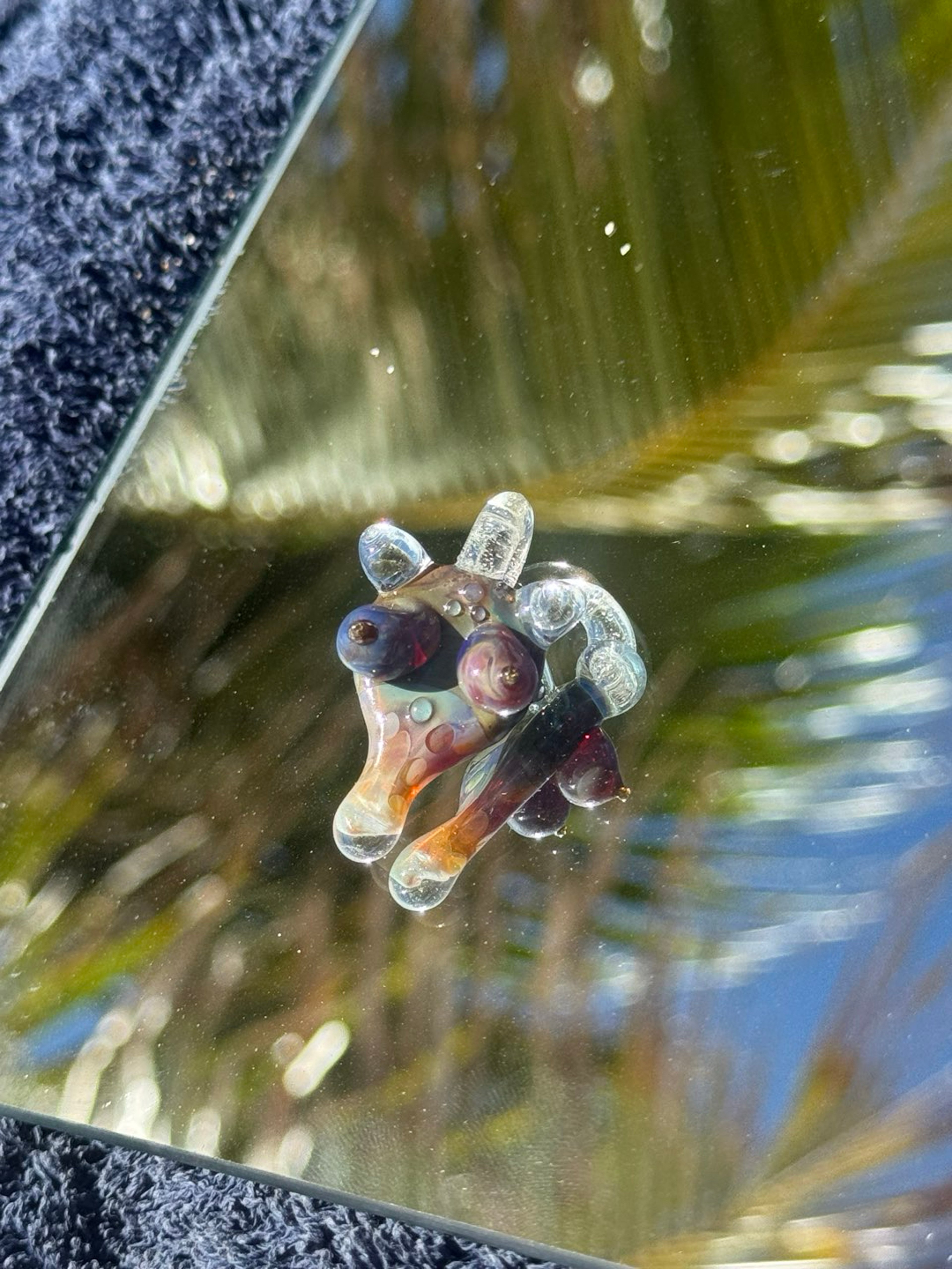 Preview pic of Double ambpurp Halfie