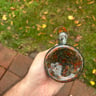 Small image 1