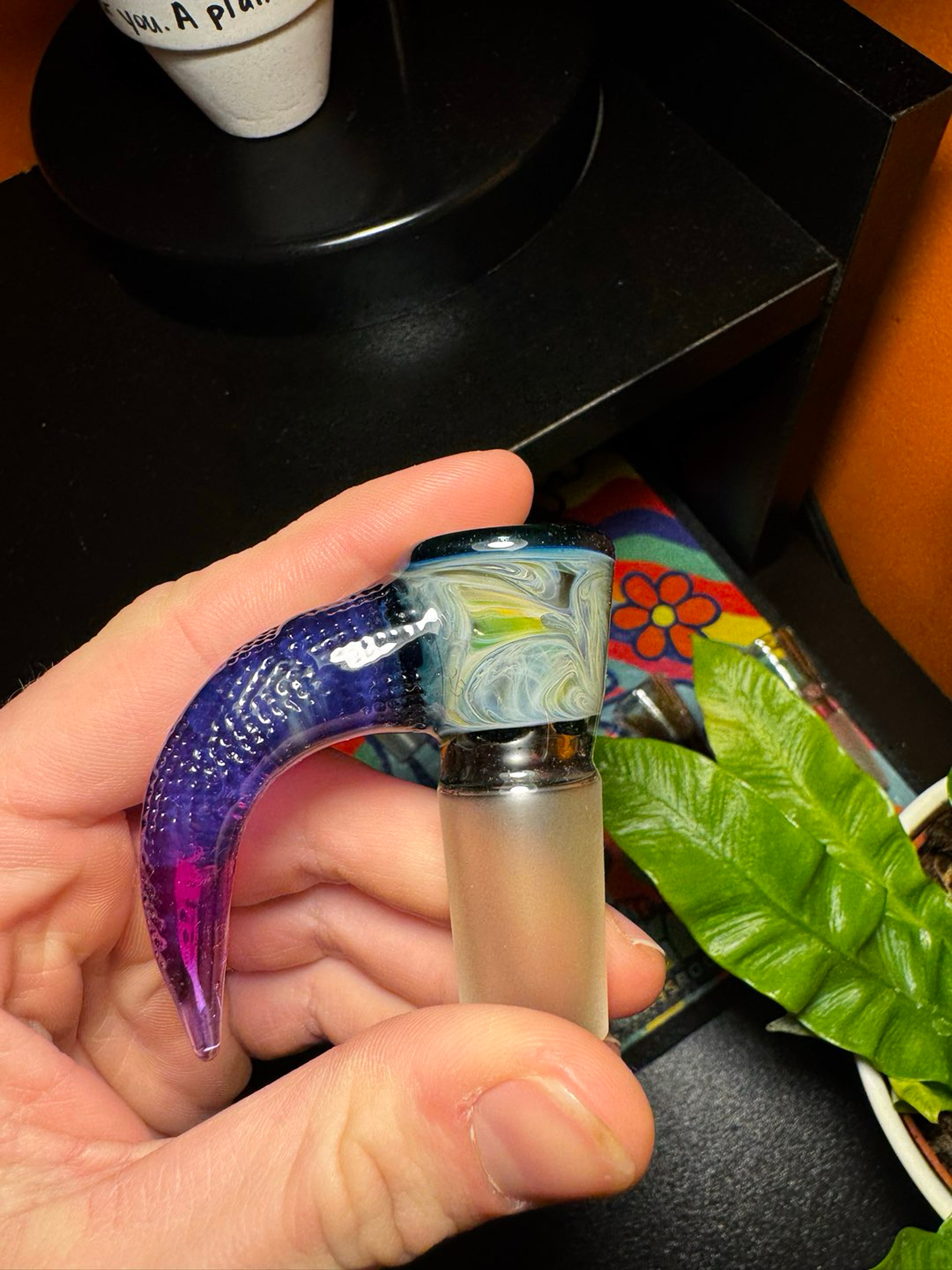 Evan Cals 4 hole image 0