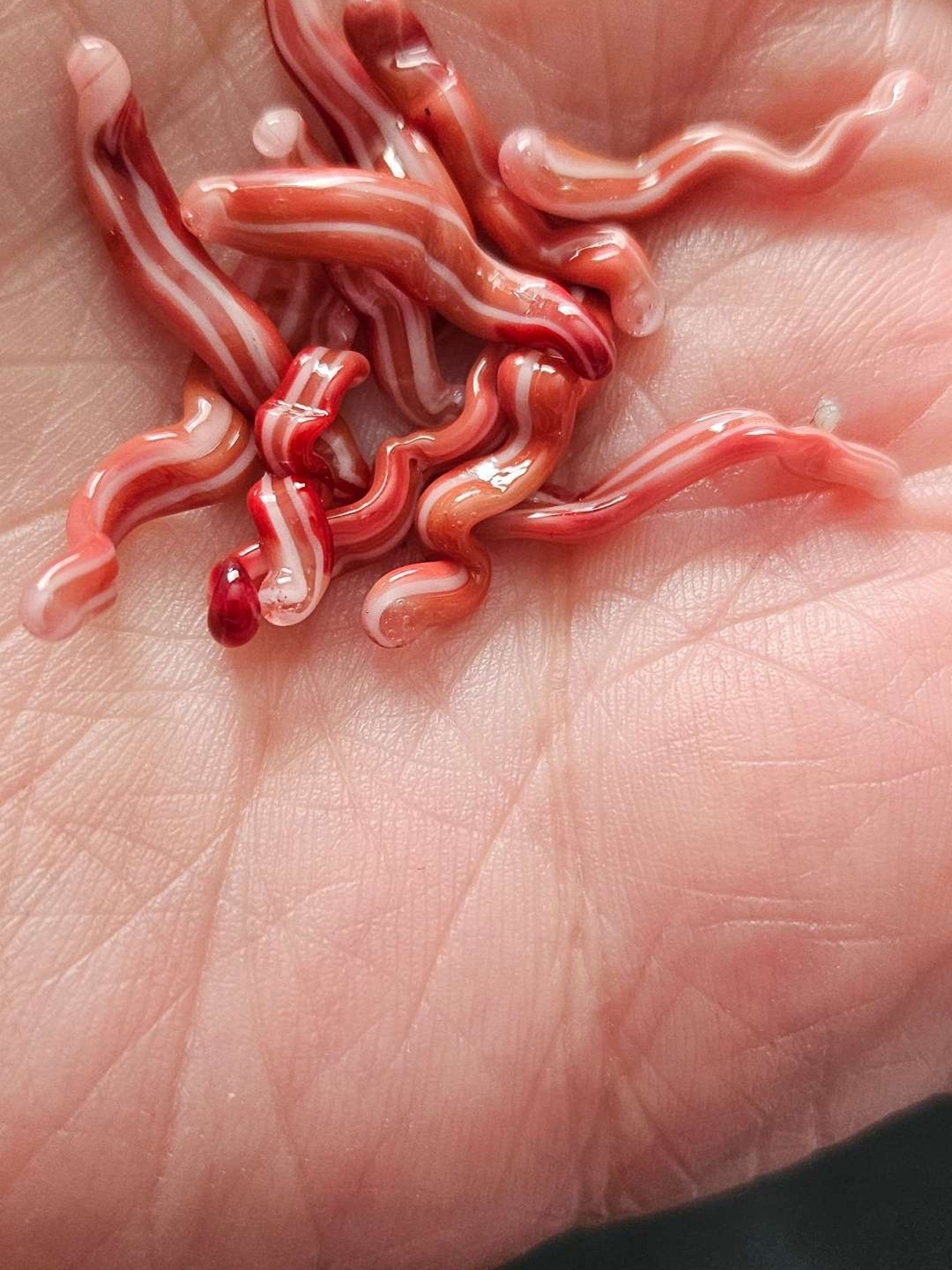 Bacon 🥓 Terp Pillars image 0