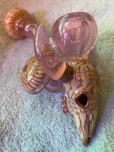 Preview pic of Hic Dogg Longhorn skull his and hers dry Sherlock’s