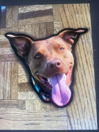 Preview pic of Your dog on a dabmat