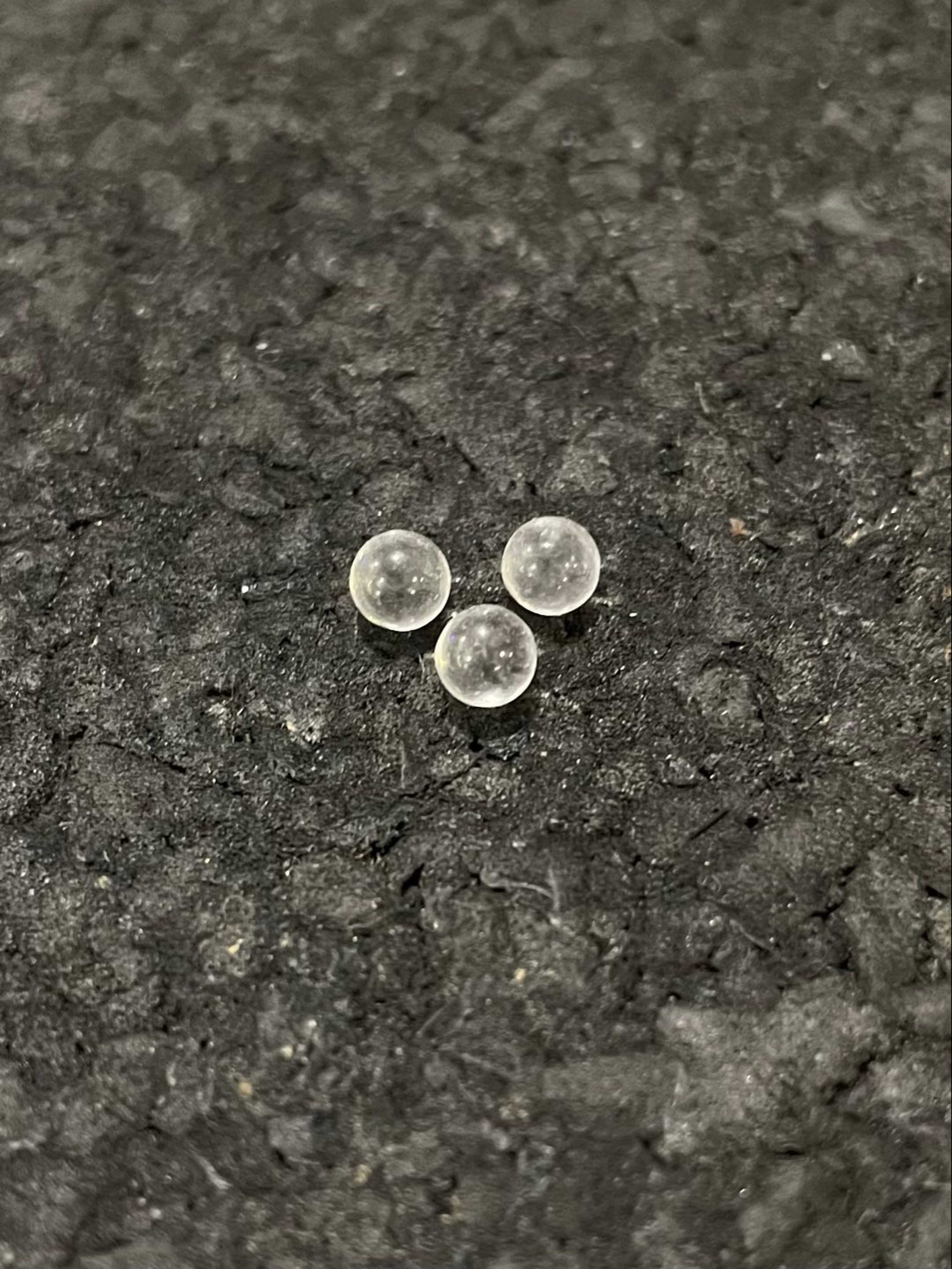 Preview pic of White Rhino Pearls 3pk