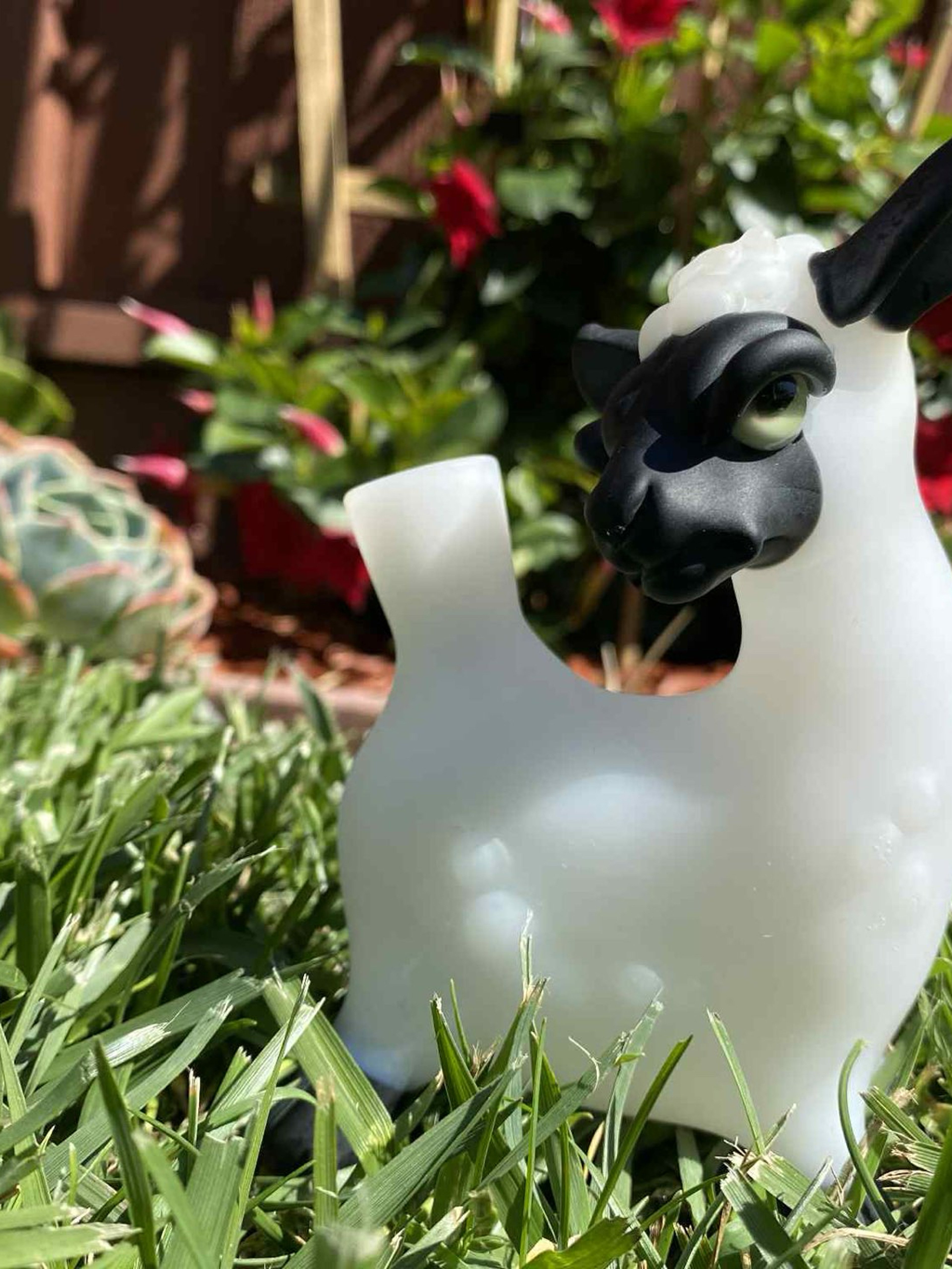 Preview pic of Robertson Sheep 2016