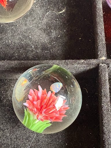 Preview pic of 2026 Flowe opal Marble