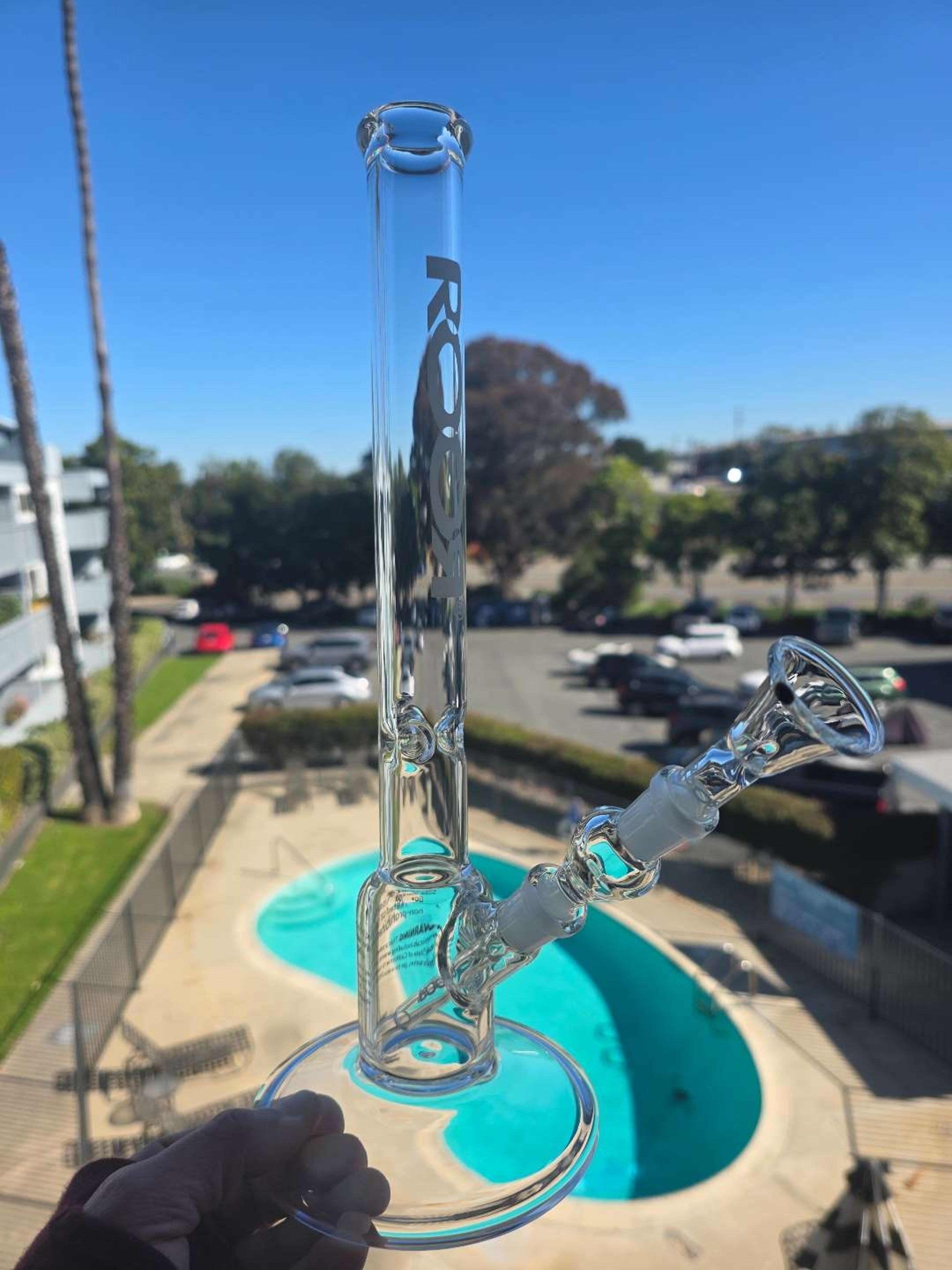 RooR Snapper image 0