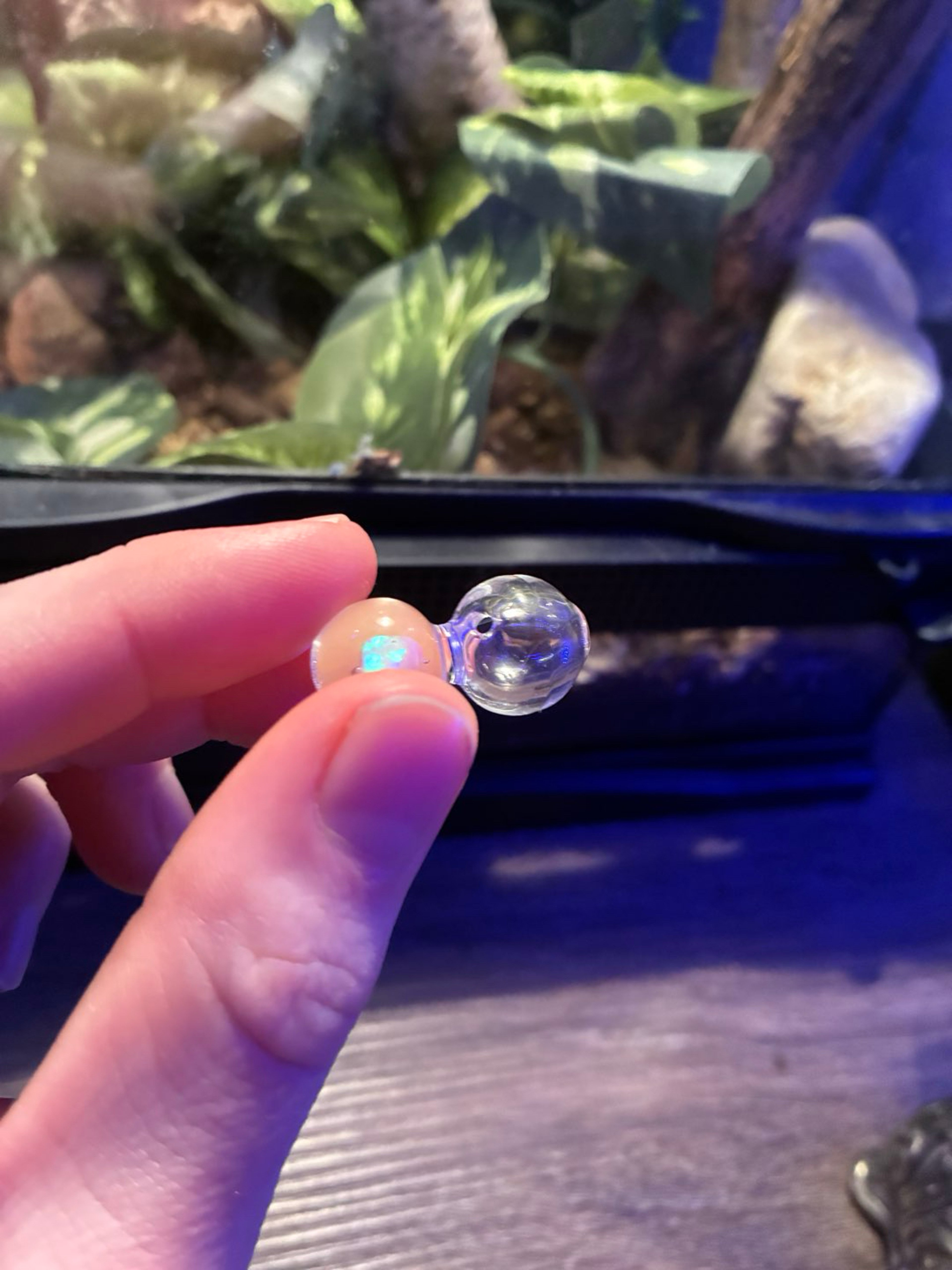 Preview pic of Carta Opal Bubble carb cap