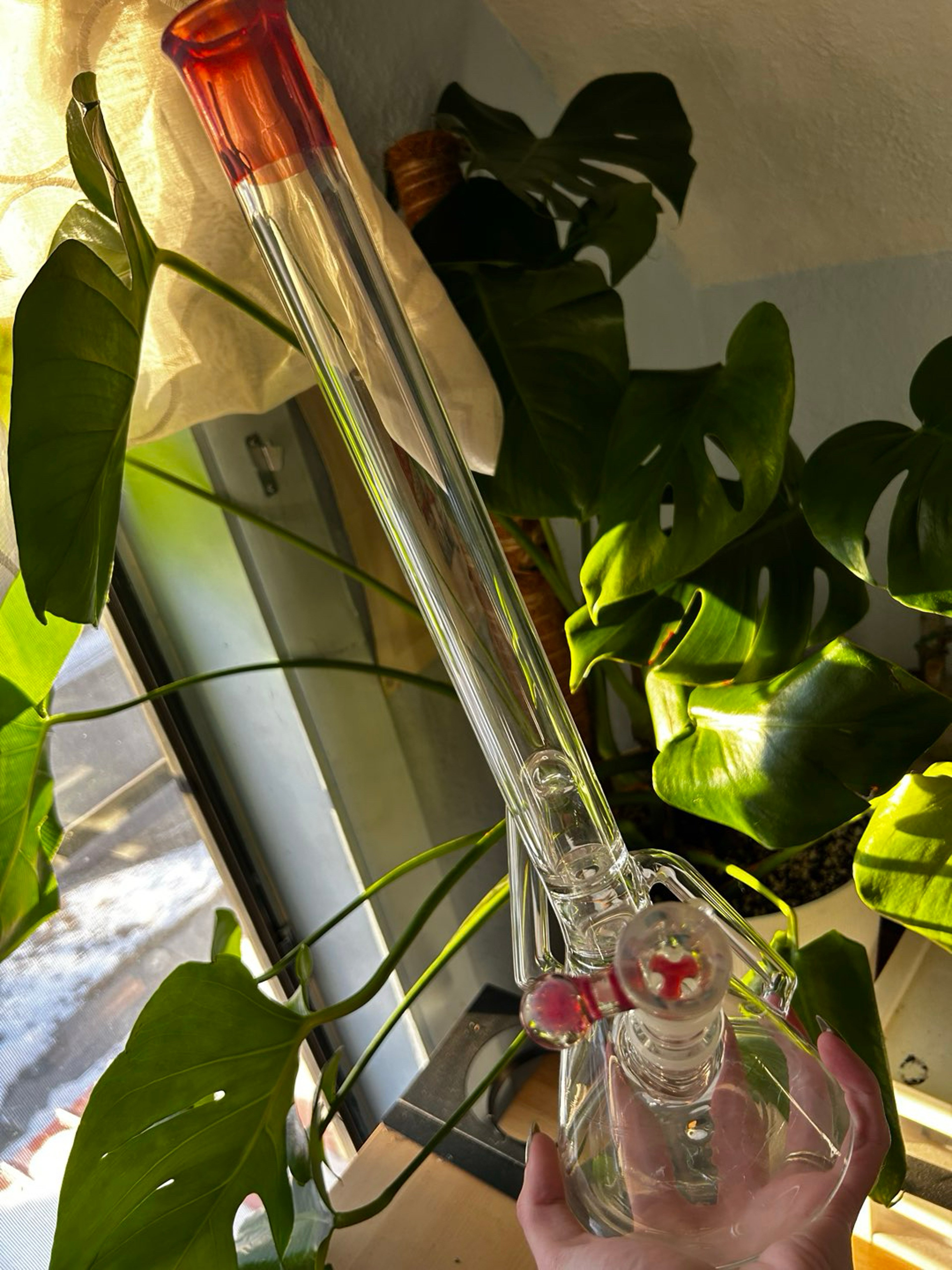 Preview pic of Discobox glass/beerdoglass setup