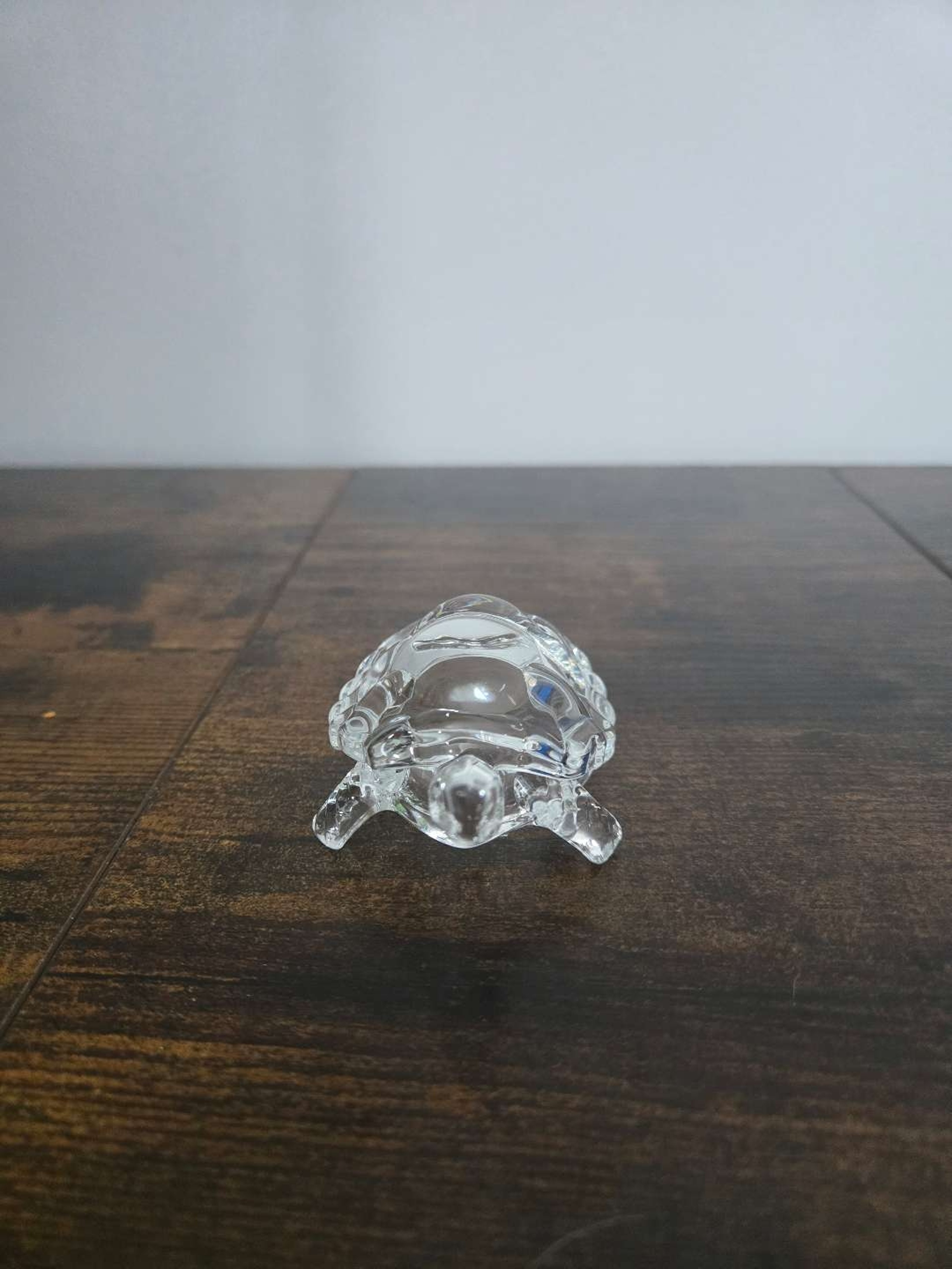 Glass Tortoise image 0