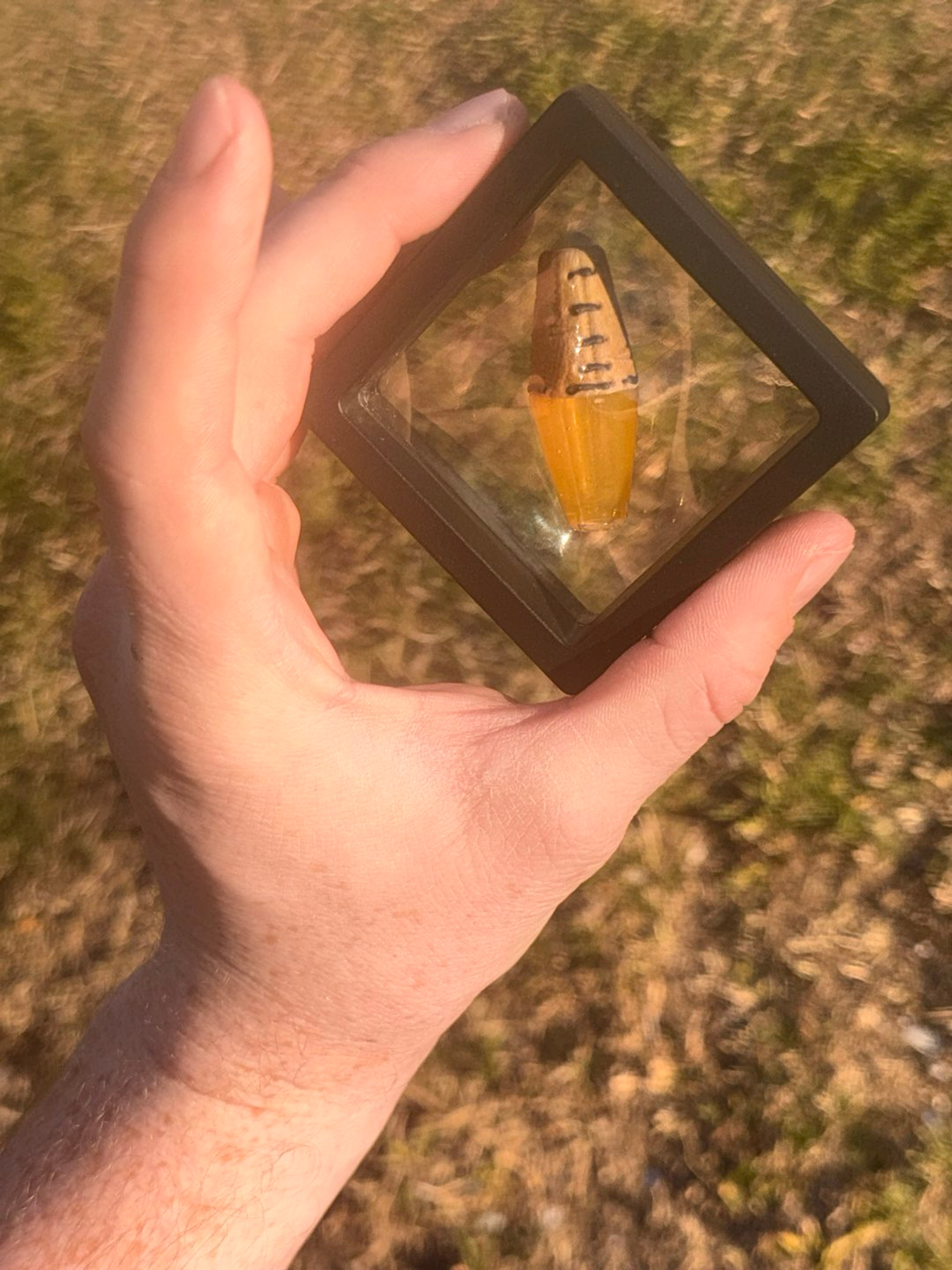 Preview pic of Muller bead/pendant