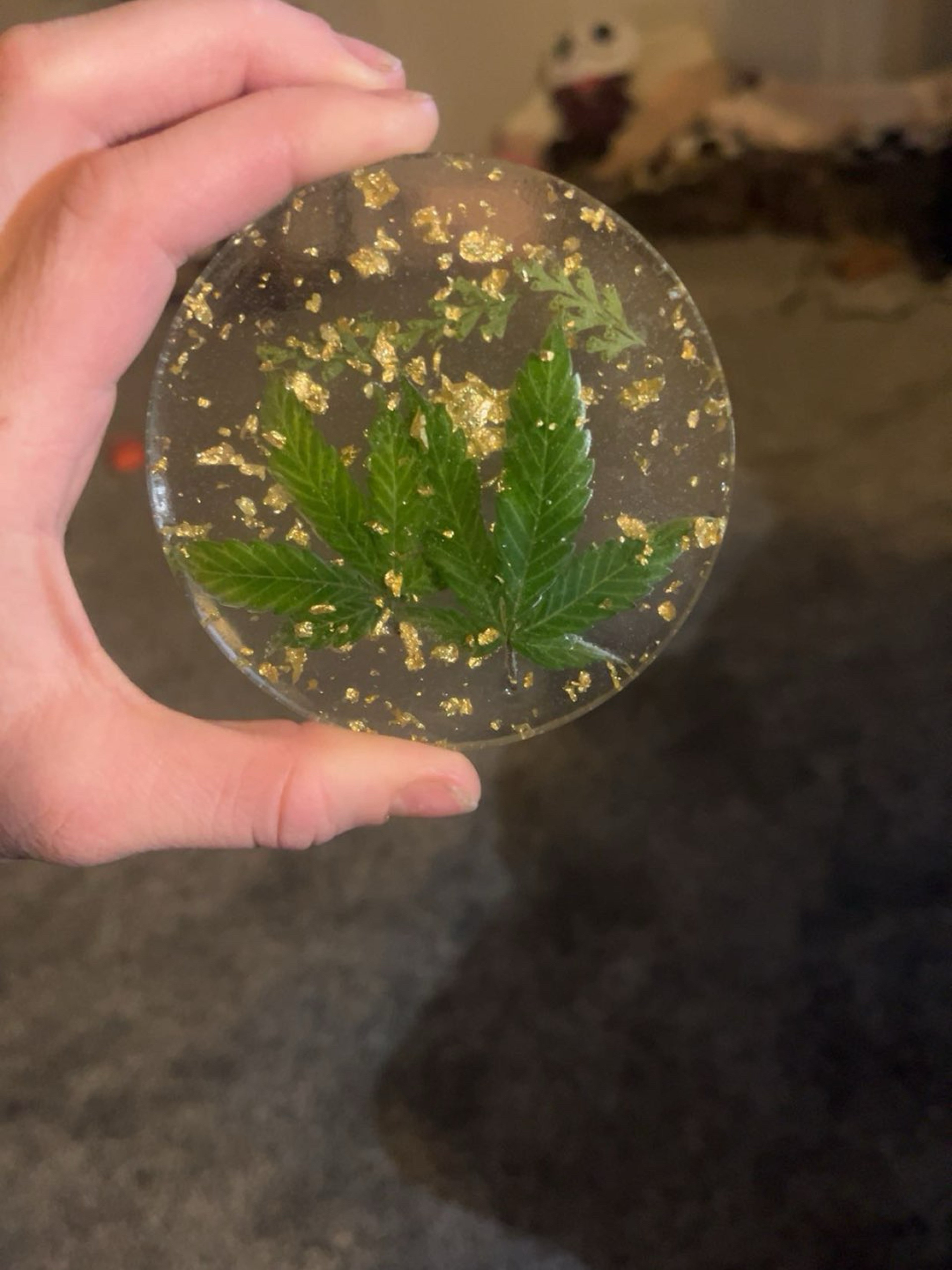 Double fan leaf coaster image 0