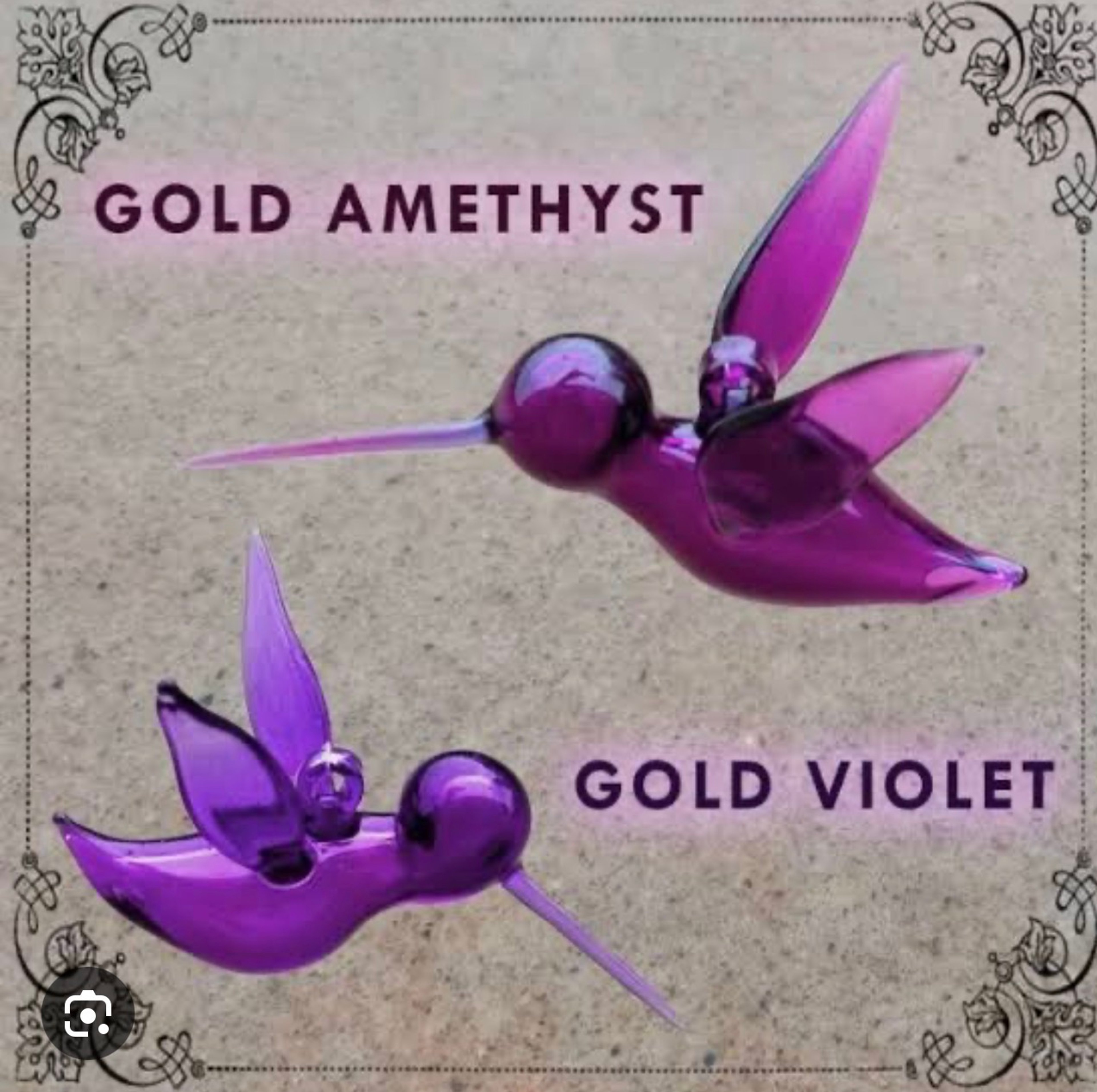 Preview pic of Gold violet