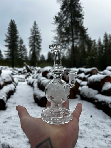 Preview pic of 2025 Mini 2 seed exosphere