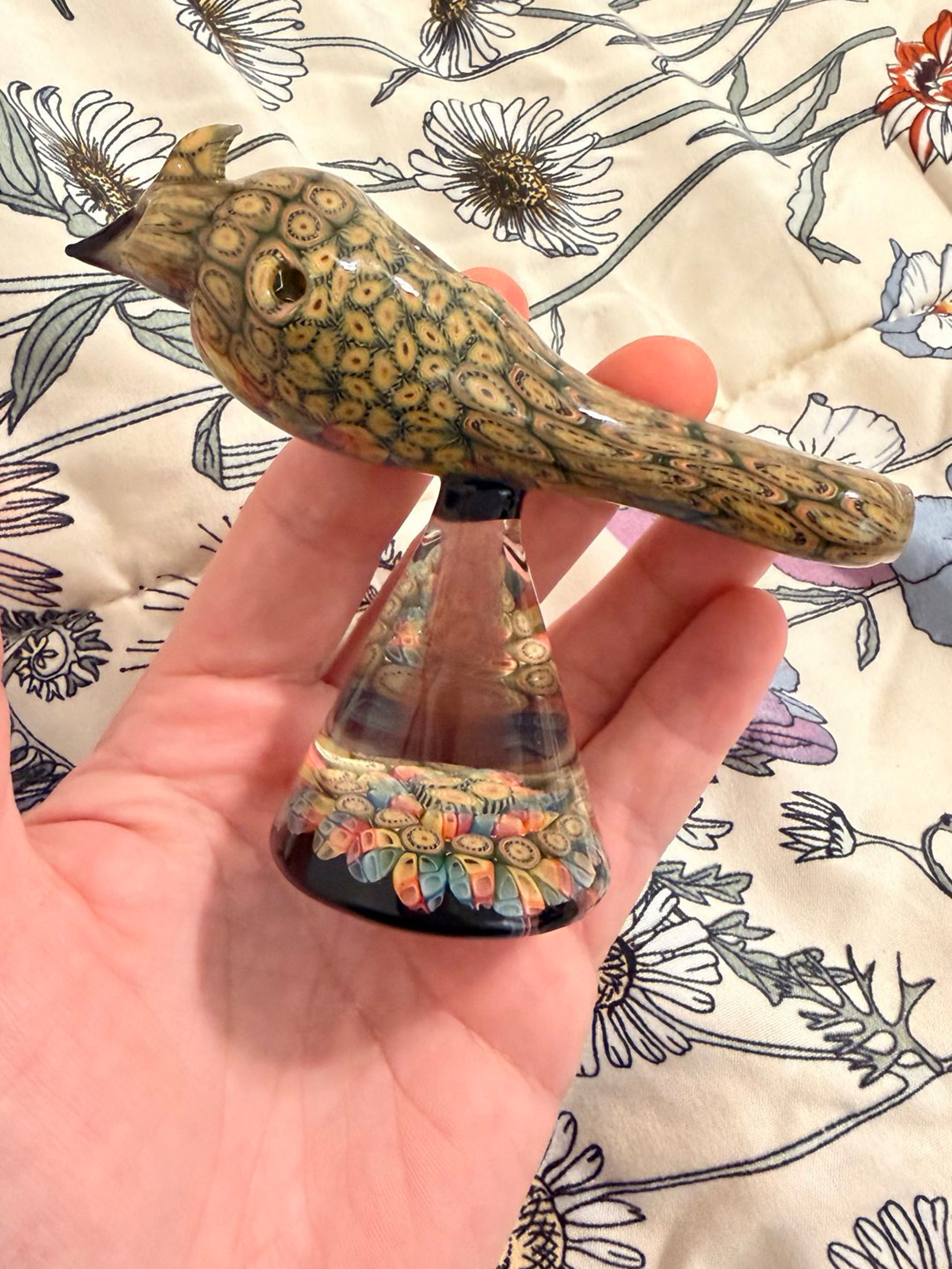 Preview pic of Jeff heathbar 2020 bird