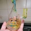 Small image 8