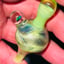 Small image 9