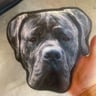 Small image 2