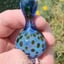 Small image 6