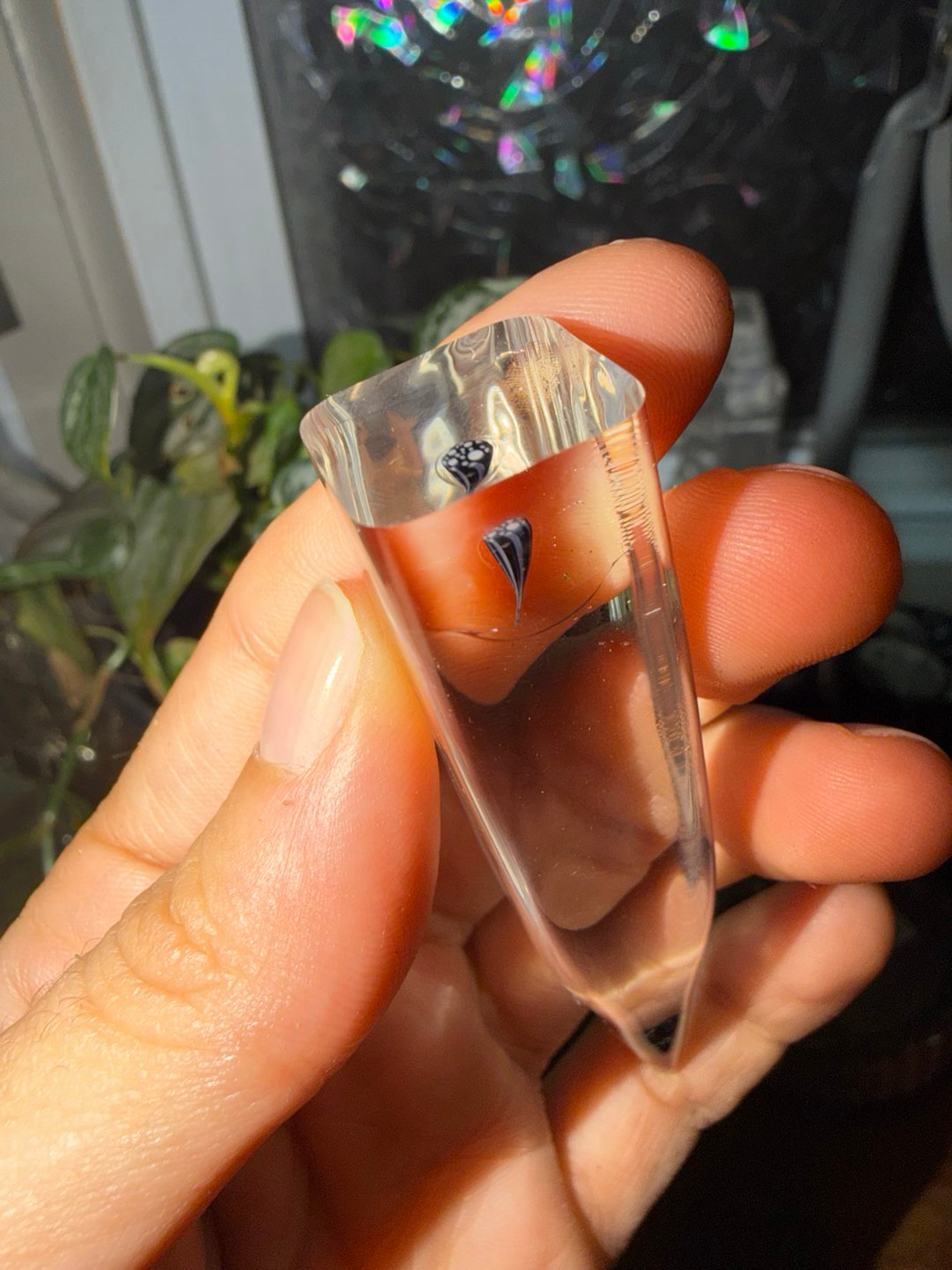 Preview pic of Swiss Perc Millie Poker