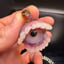 Small image 5