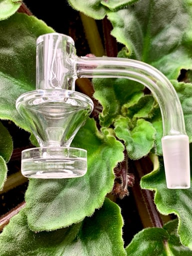 Preview pic of Evan Shore Point 3 & Under Slurp