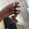 Small image 1
