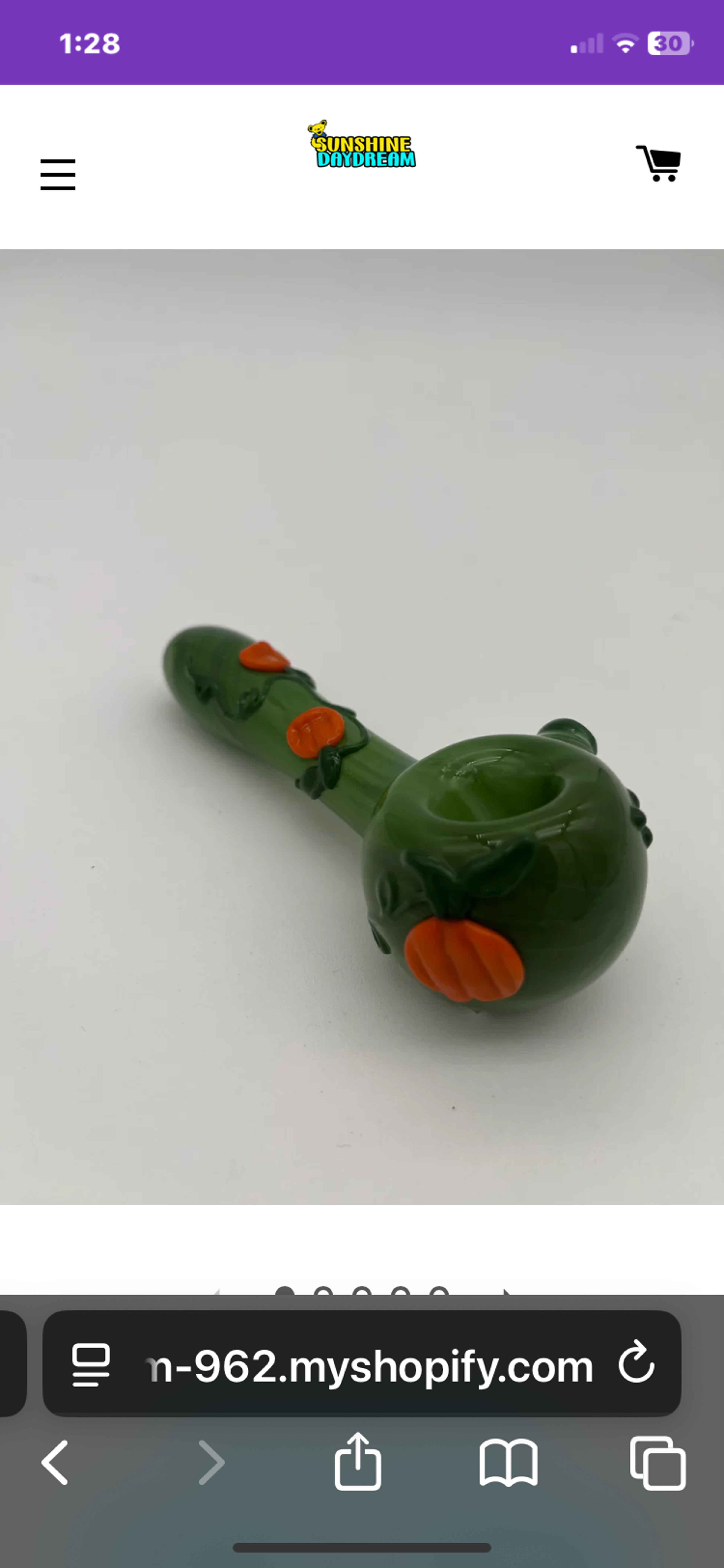 Preview pic of Kristi Conant Pumpkins Handpipe