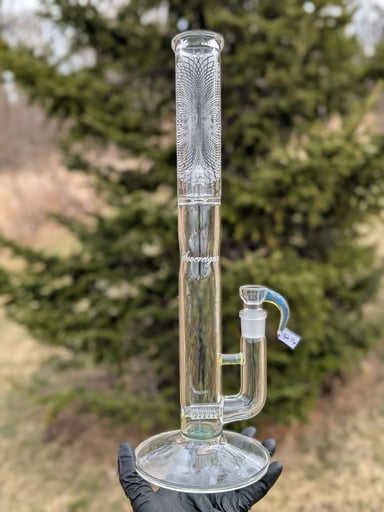 Preview pic of Sovereignty - 44x4 - Stemline w/ Reduction - Partial Accent